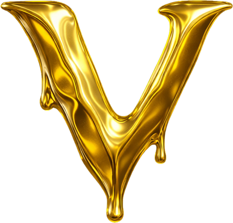 VTR Image